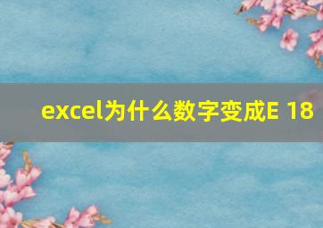 excel为什么数字变成E 18